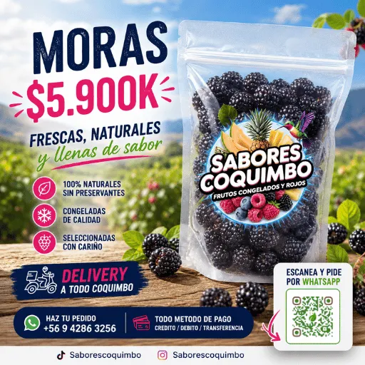 Moras KG